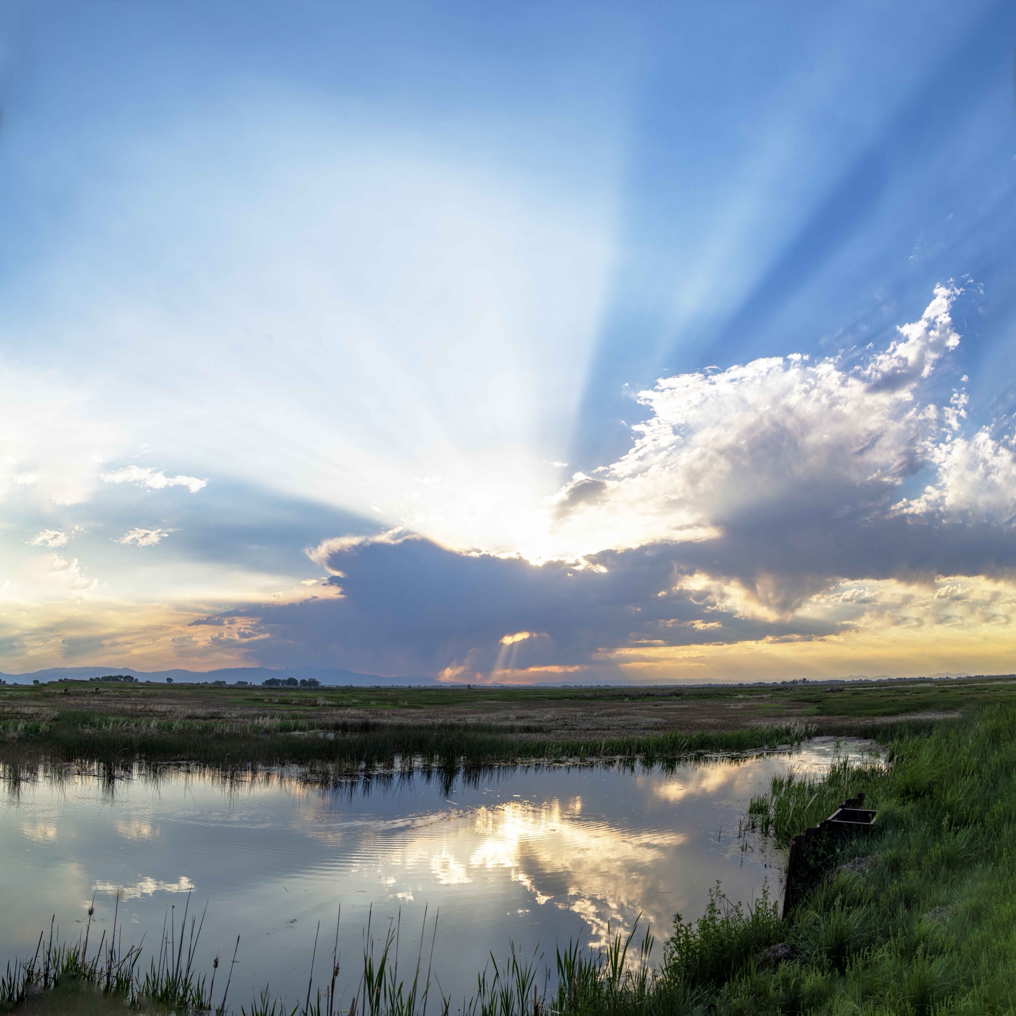 Sun rays over the refuge at evening